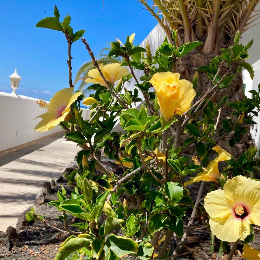 Apartamento La Concha Seaview Direct At The Beach & Sea Cotillo Exterior foto